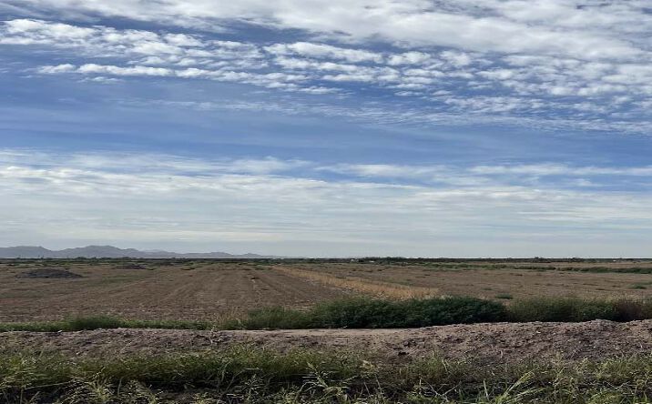 Pictures of Land property located at E Of Sec Russell Rd & Marsh Rd, Casa Grande, AZ 85193 for sales - image #1