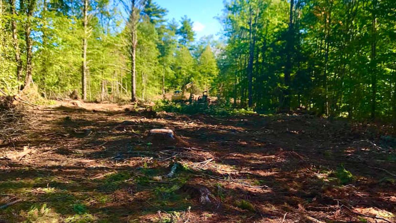 Mitchell Rd, Nottingham, NH 03290