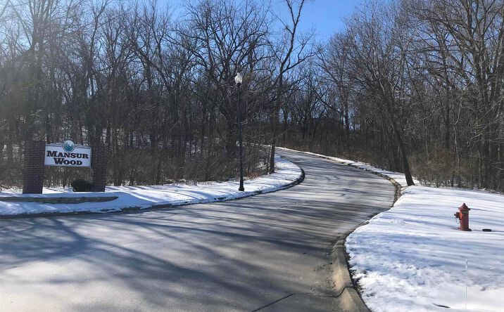 Pictures of Land property located at 800 Johns Place, Carbon Cliff, IL 61239 for sales - image #1