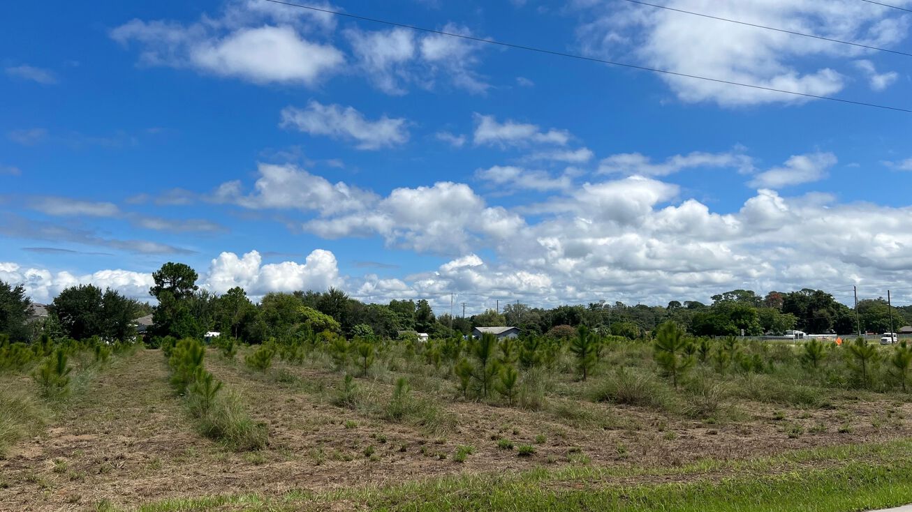 Camp Rd and 19, Tavares, FL 32778