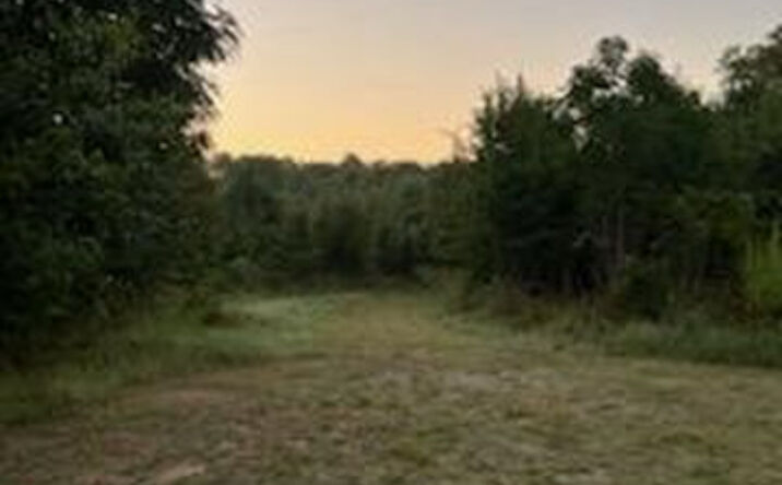 Pictures of Land property located at 0 Hillview Rd, Hampton, GA 30228 for sales - image #1