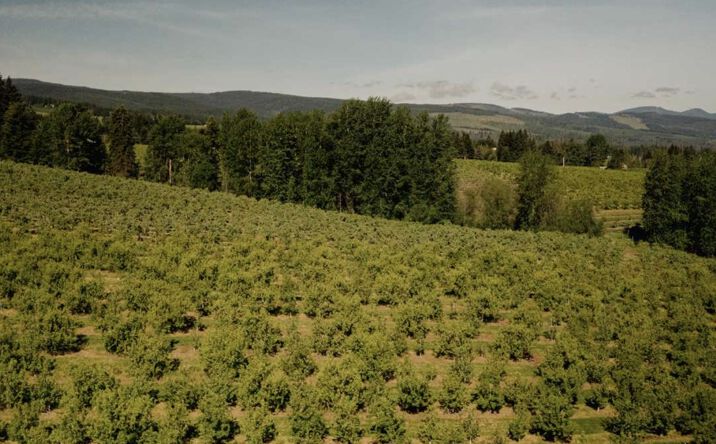 image of property at 6765 COOPER SPUR RD Mount Hood Parkdale OR 97041-7805