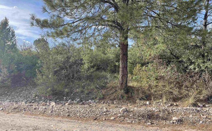 127 El Dorado Drive, Timberon, NM 88350 | Crexi.com