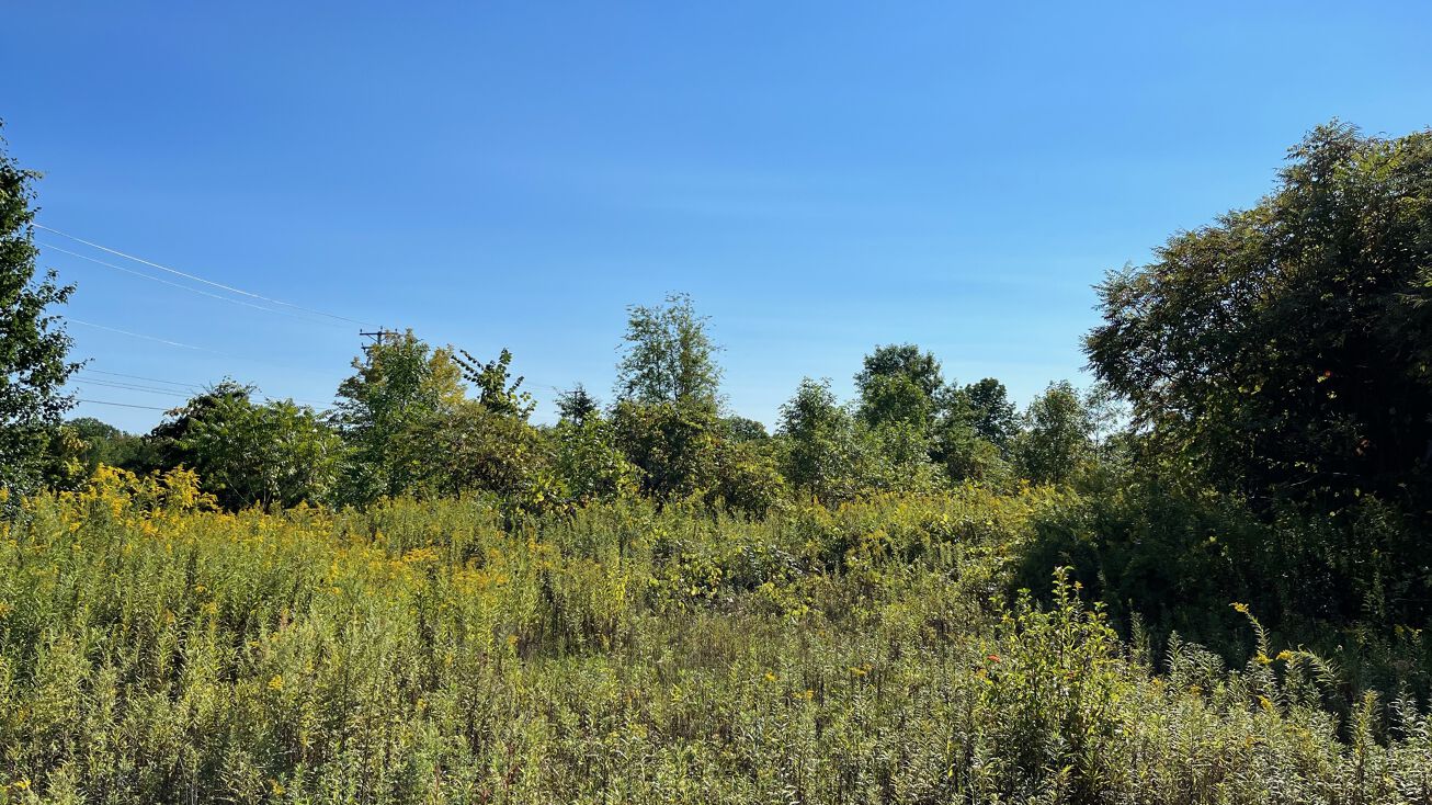 91 S Putt Corners Rd, New Paltz, NY 12561