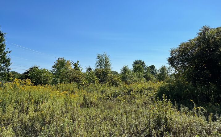 Pictures of Land property located at 91 S Putt Corners Rd, New Paltz, NY 12561 for sales - image #1