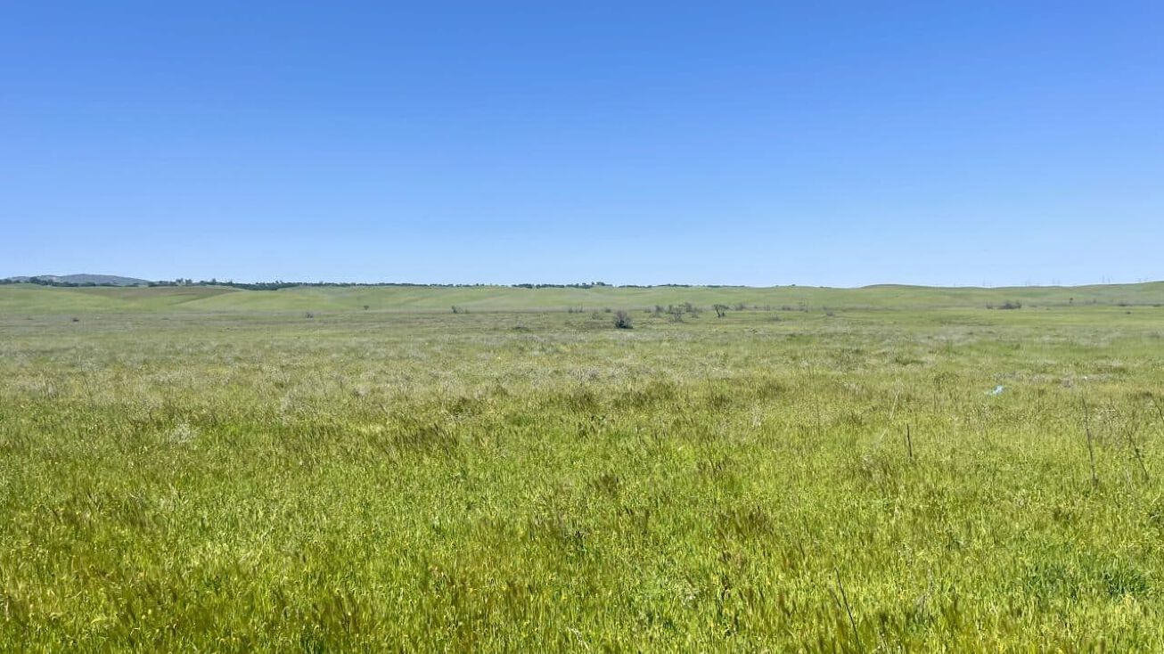 Country Road 11 farm, Esparto, CA 95627