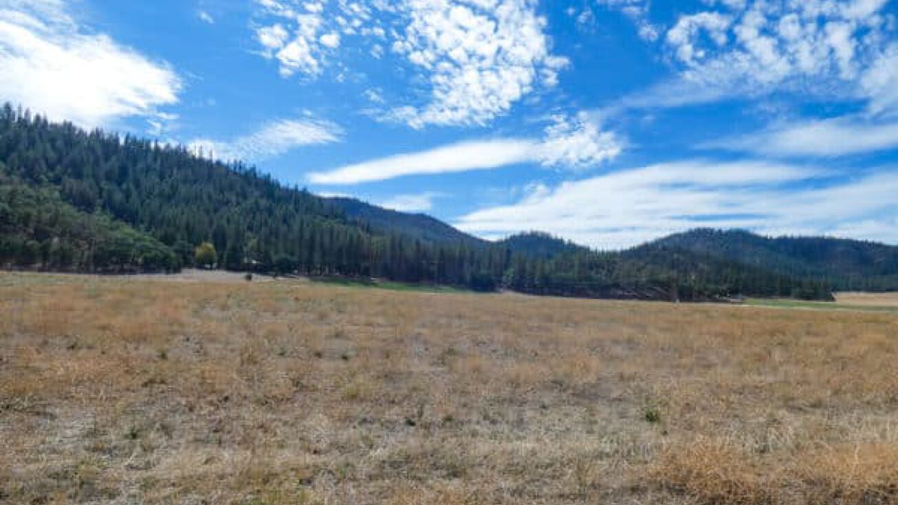 N Kidder Creek Rd, Greenview,, CA 96037