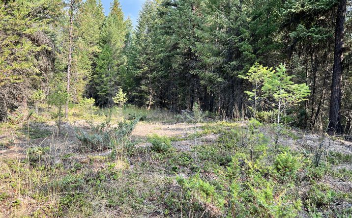 Nhn Glen Lake Road, Eureka, MT 59917 | Crexi.com