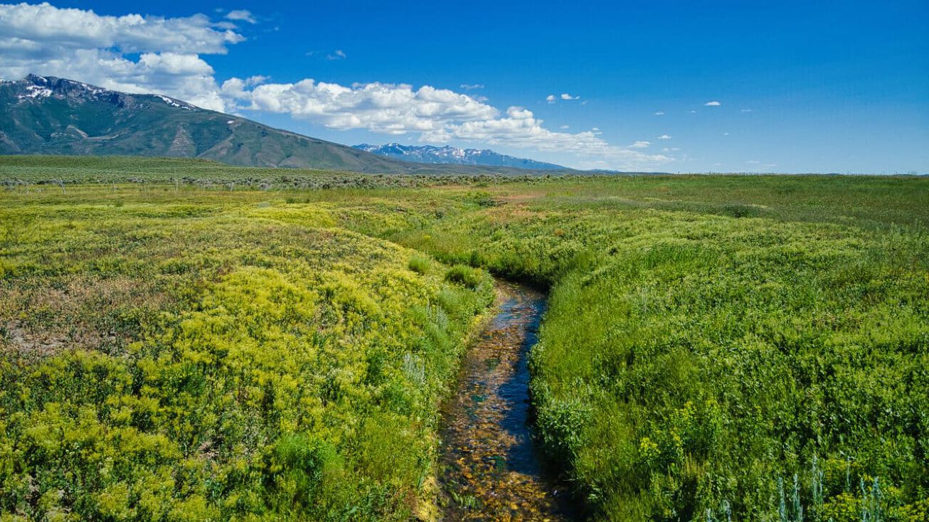 Ruby Mountain Ranch, Spring Creek, NV 89815