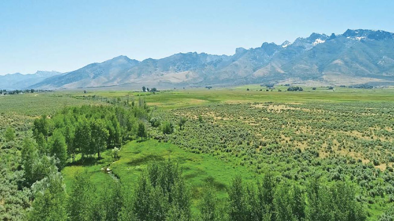 Ruby Mountain Ranch, Spring Creek, NV 89815 Land for Sale Ruby