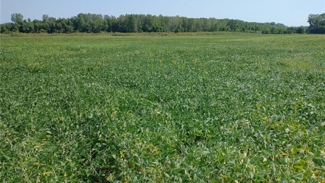 RR Berlin Road NE, Pattonsburg, MO 64670 Special Purpose Property for