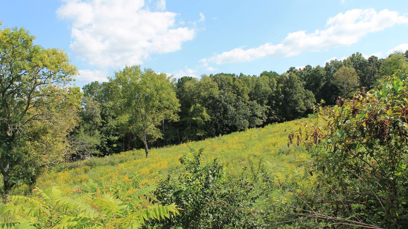 1841 Young Rd SE, Cleveland, TN 37323