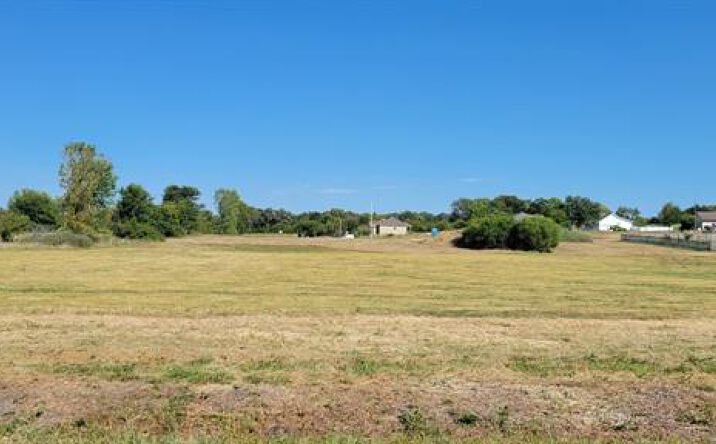 Pictures of Land, Multifamily property located at 124th Street NE, Prathersville, MO 64024 for sales - image #1