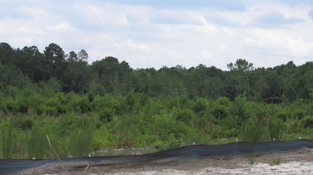 1365 Paris Avenue, Swainsboro, GA 30401