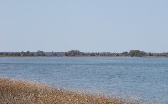 Pictures of Land property located at Haig Point Rd, Daufuskie Island, SC 29928 for sales - image #1