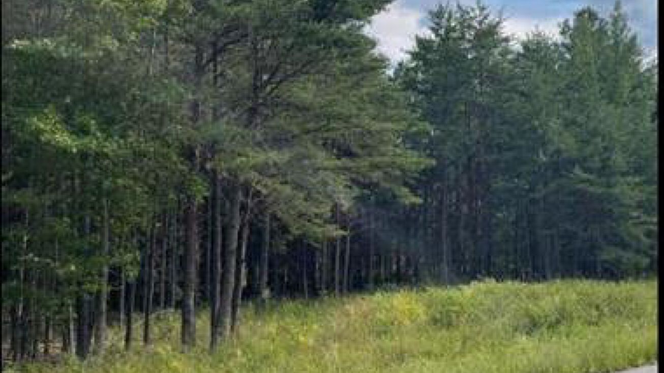 Lot 8 Long Branch Rd, Woodford, VA 22580 Land for Sale Lot 8 Long