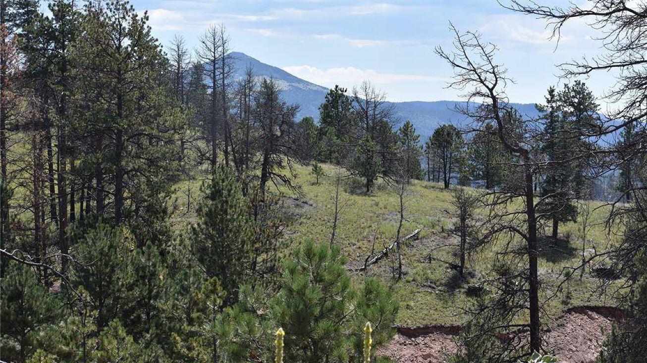 11 Chapparal Trail, Florissant, CO 80816