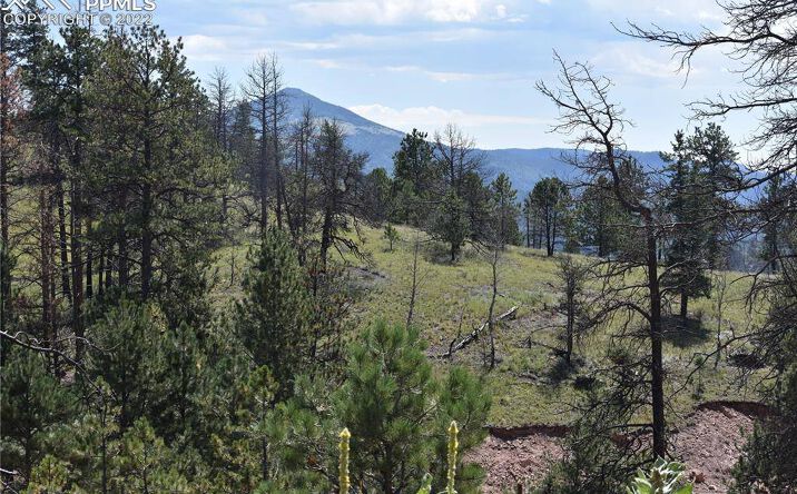 11 Chapparal Trail, Florissant, CO 80816 - Land for Sale - 11 Chapparal TRL