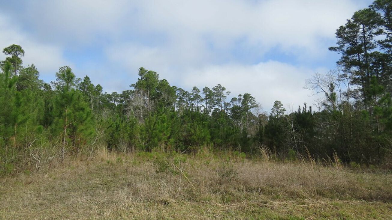 6046 1st St, Bay St. Louis, MS 39520