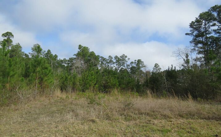 Pictures of Land property located at 6046 1st St, Bay St. Louis, MS 39520 for sales - image #1