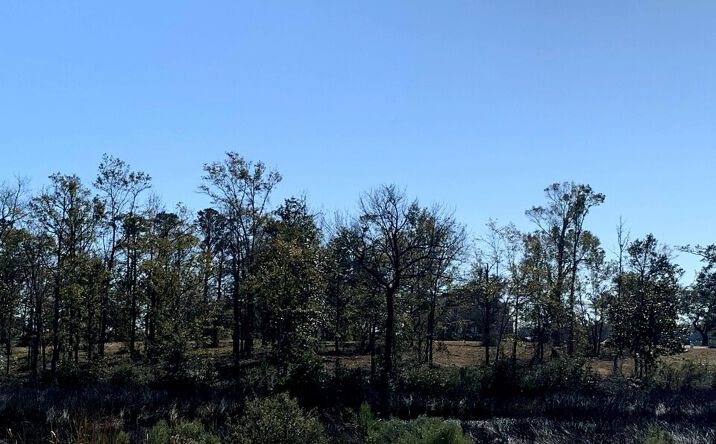 Pictures of Land property located at Lot 17 Wetzel Drive, Biloxi, MS 39532 for sales - image #1