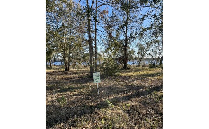 Pictures of Land property located at Lot 4 Wetzel Drive, Biloxi, MS 39532 for sales - image #1