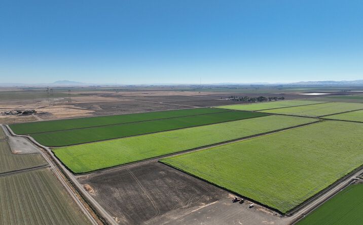 Pictures of Land property located at Radio Station Rd, Dixon, CA 95620 for sales - image #1