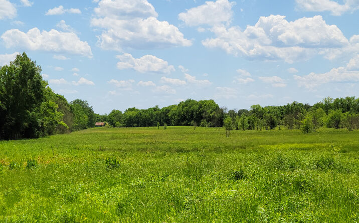 Pictures of Land property located at US-69, Alto, TX 75925 for sales - image #1