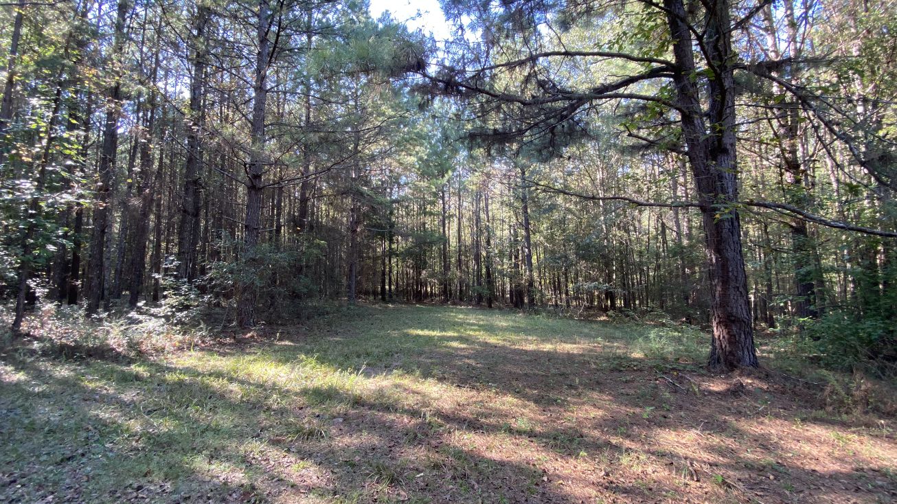 2 Brockton Loop, Jefferson, GA 30549