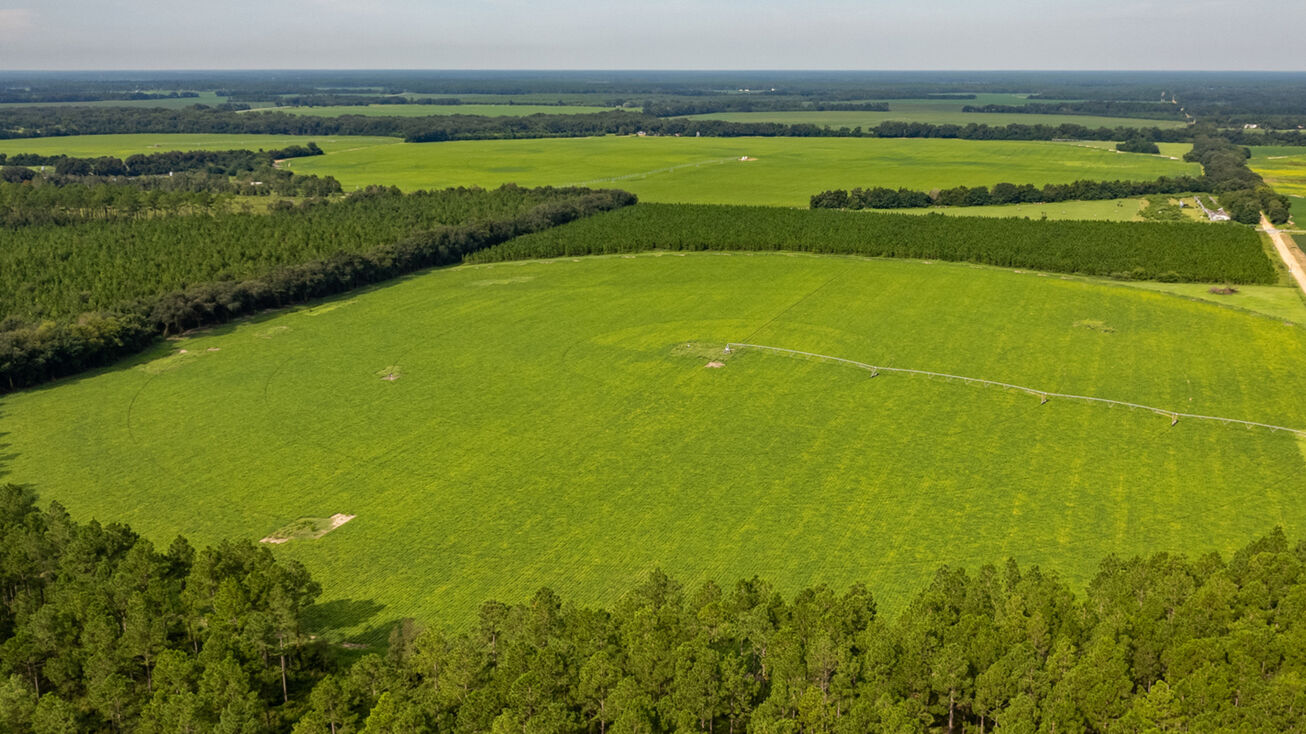 5009 Hwy 97, Camilla, GA 31730, Camilla, GA 31730