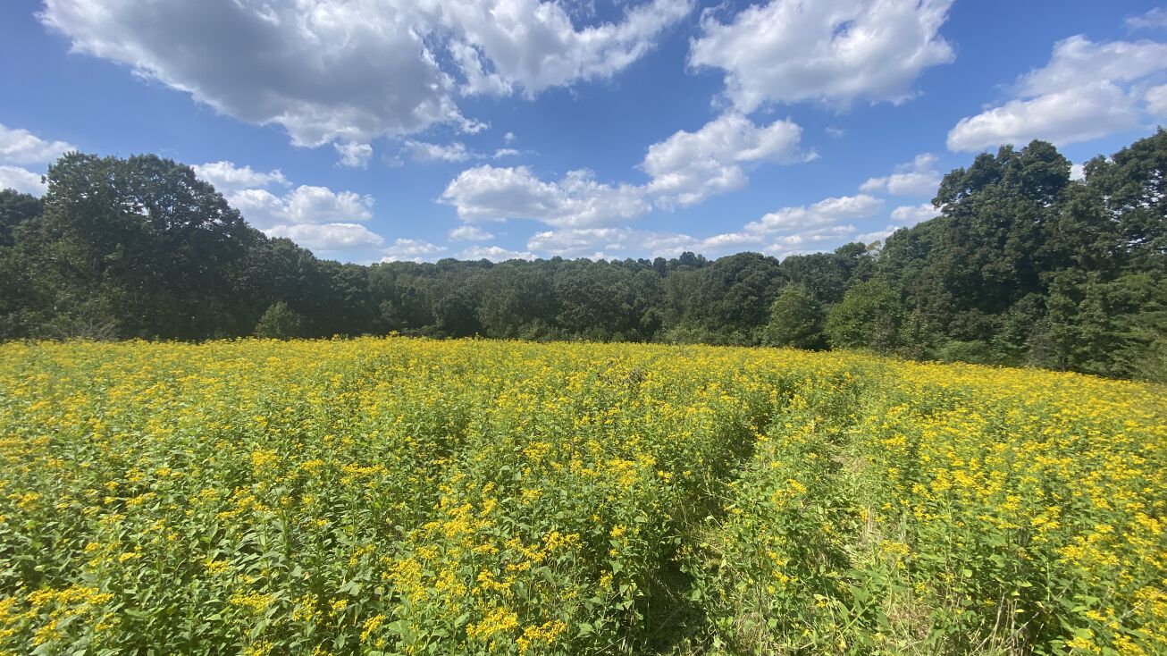 2822 GA98, Maysville, GA 30558