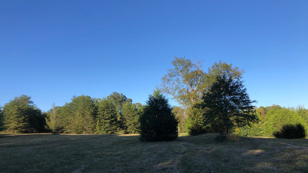 994 Wilma Sigmon Rd, Lincolnton, NC 28092 Land for Sale 994 Wilma