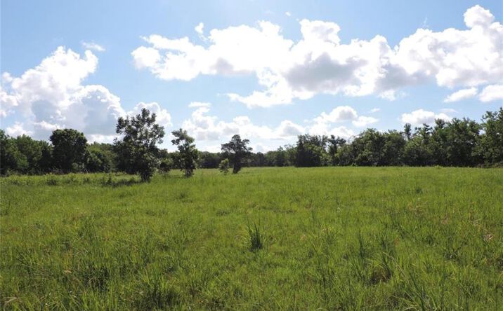 Pictures of Land property located at 5200 Delany Rd, La Marque, TX 77568 for sales - image #1