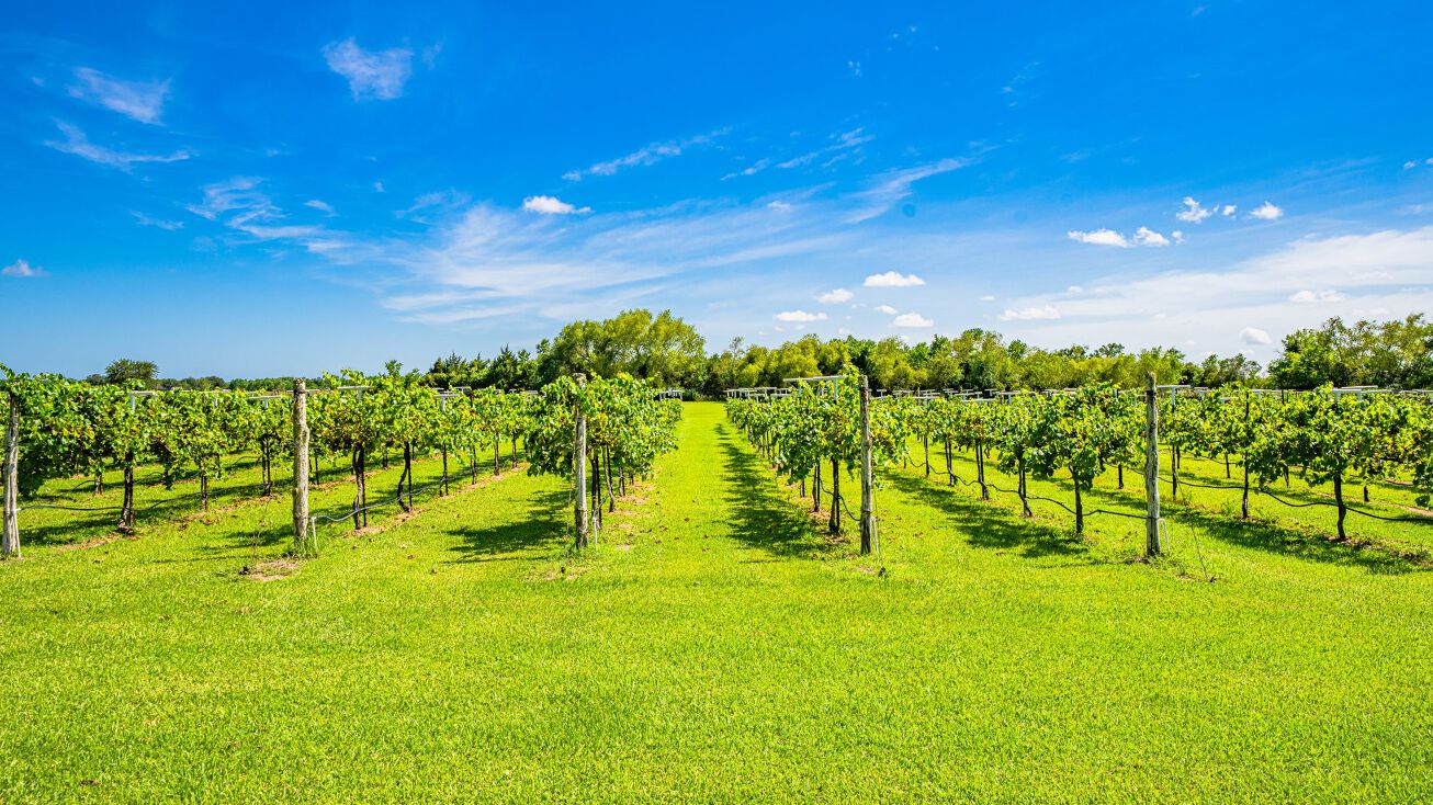 14773 Coon Rd, Winnie, TX 77665