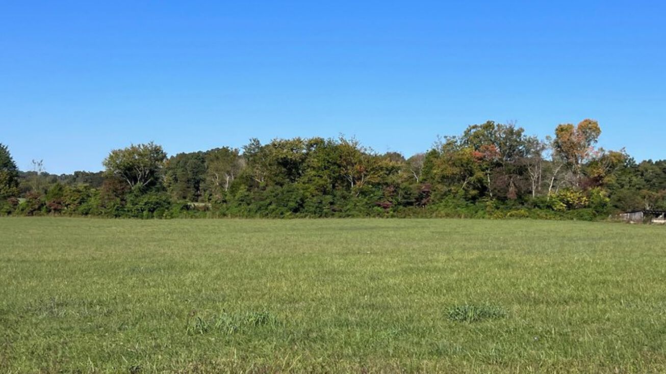 Harris Town Road/Robertson Creek Lot 6, Bulls Gap, TN 37711