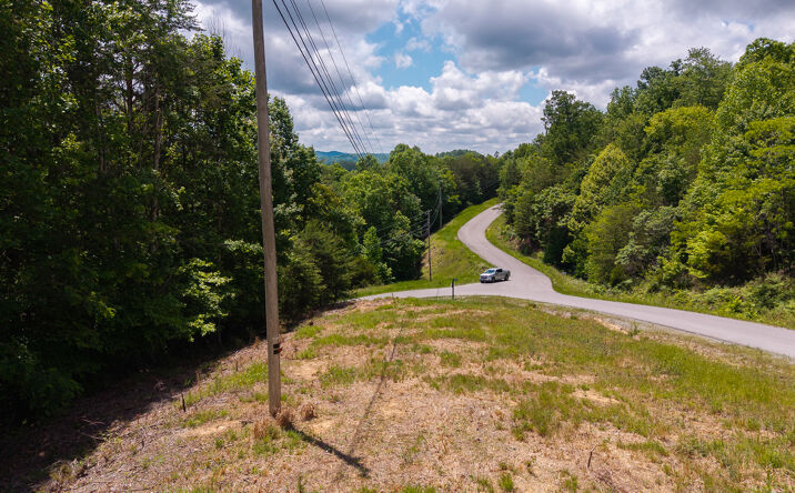 Pictures of Land property located at Lot 161 Whistle Valley Rd, New Tazewell, TN 37825 for sales - image #1