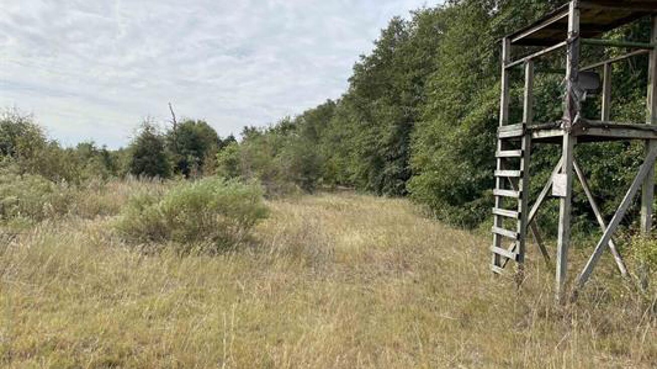 Cutoff Rd, Andersonville, GA 31711