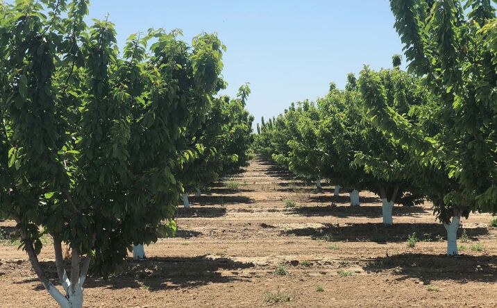 Pictures of Land property located at Hanford Armona Road & 16th Ave, Hanford, CA 93245 for sales - image #1
