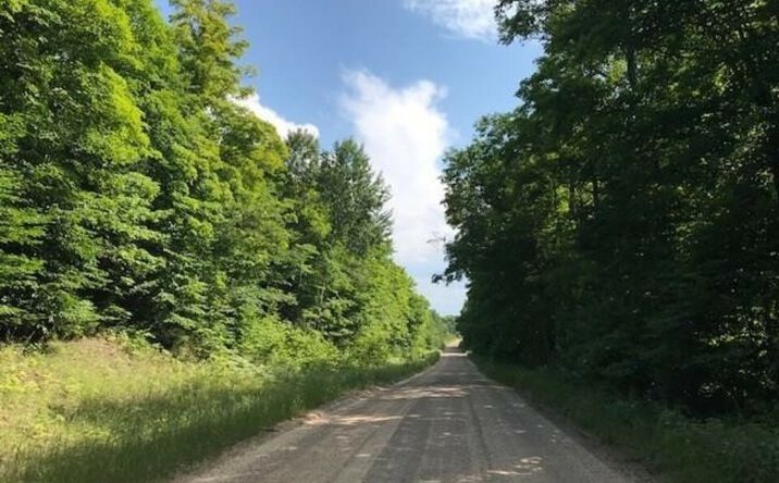 Pictures of Land property located at TBD Rock River Rd, Deerton, MI 49822 for sales - image #1