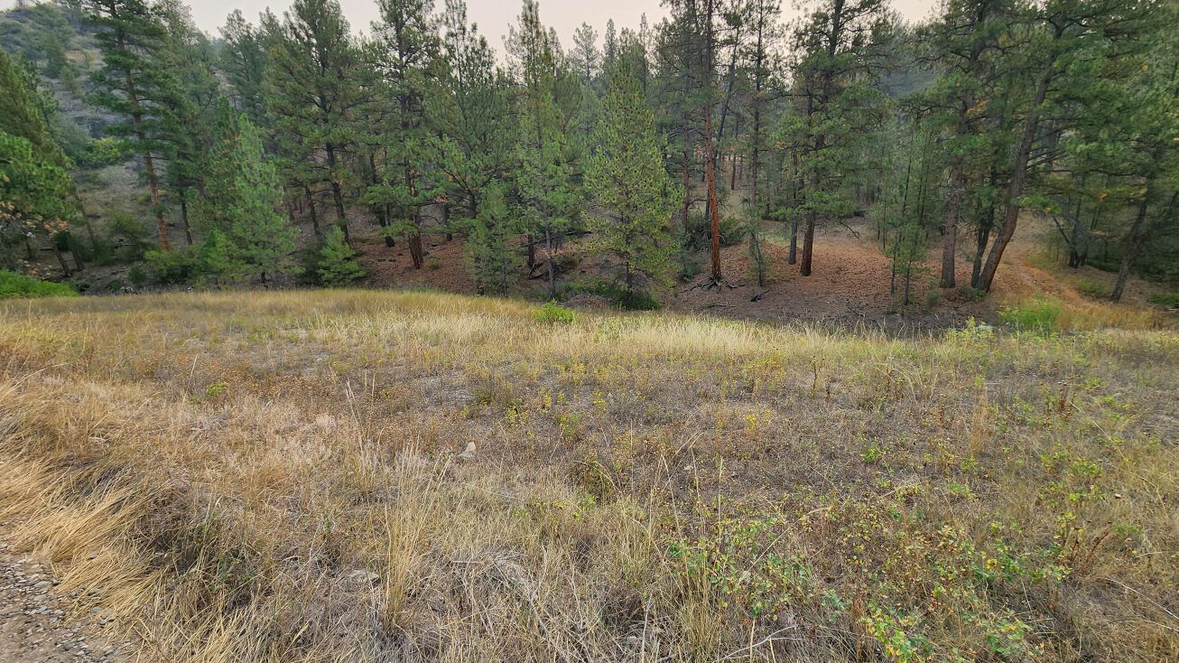 295 Dearborn River Road, Cascade, MT 59421 Land for Sale 295
