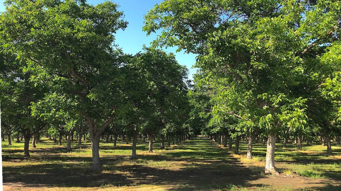 5251 17th Ave, Laton, CA 93242