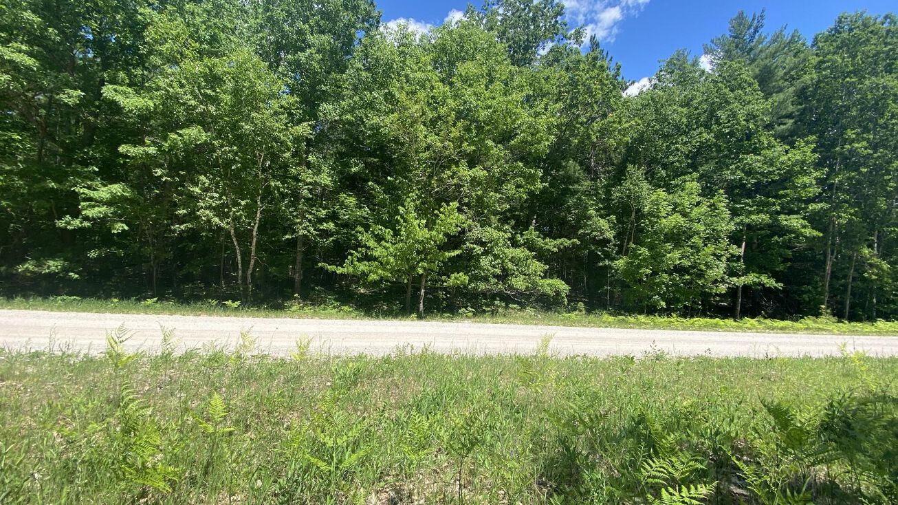 Abbey Rd, Cheboygan, MI 49721 Land for Sale Abbey Road