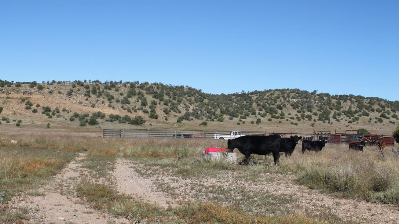 Hwy 246 , Capitan, Capitan, NM 88316