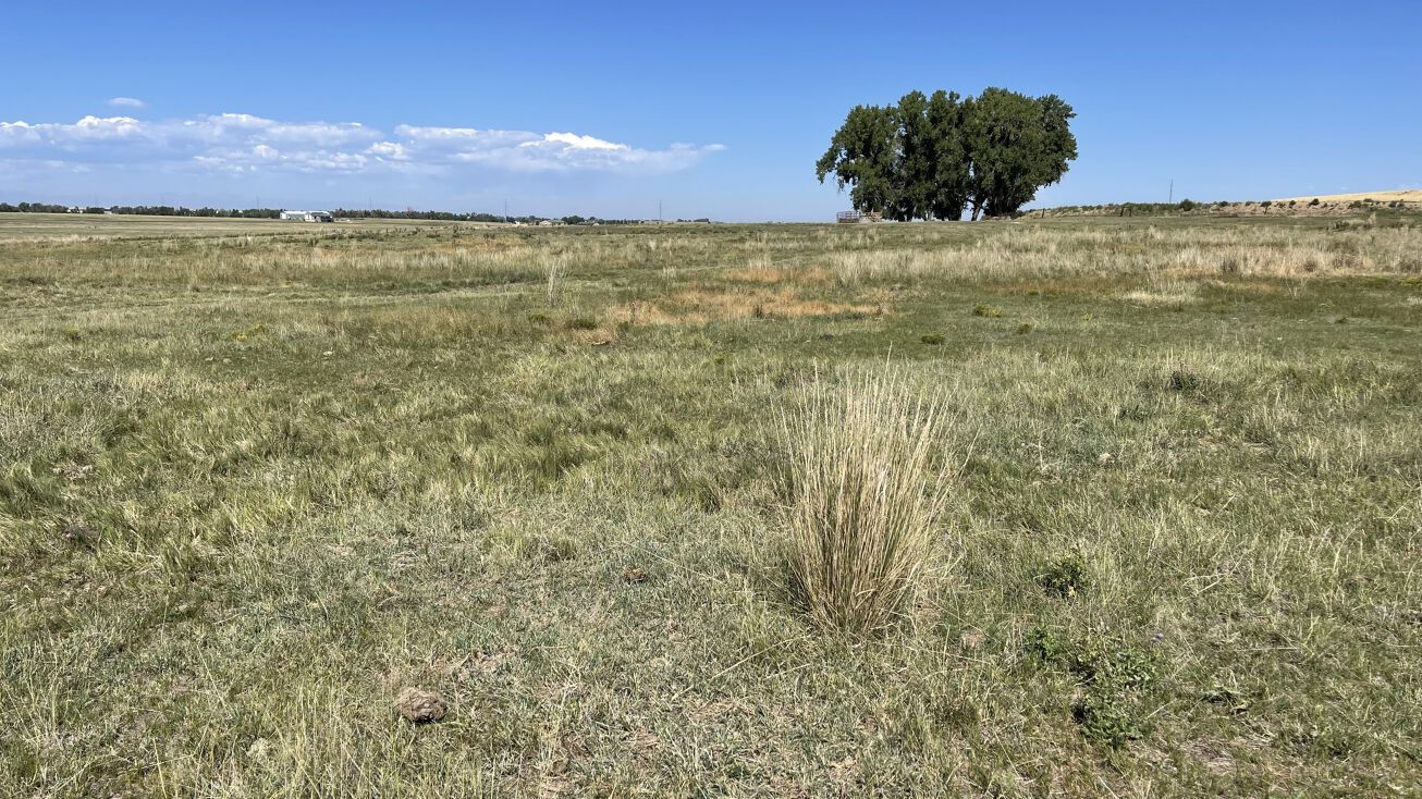 25341 Weld County Road 4, Hudson, CO 80642 Land for Sale Hudson