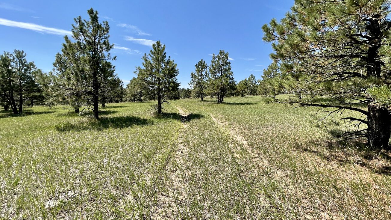 Walker Rd, Black Forest, CO 80908 | Crexi.com