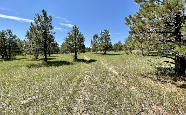 Walker Rd, Black Forest, CO 80908 | Crexi.com