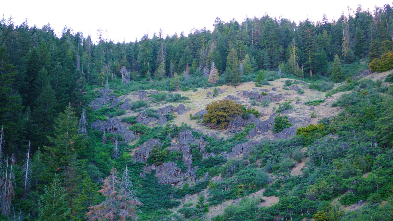 Forest Service Road 44N20 via 44N36, Fort Jones, CA 96032 Land for