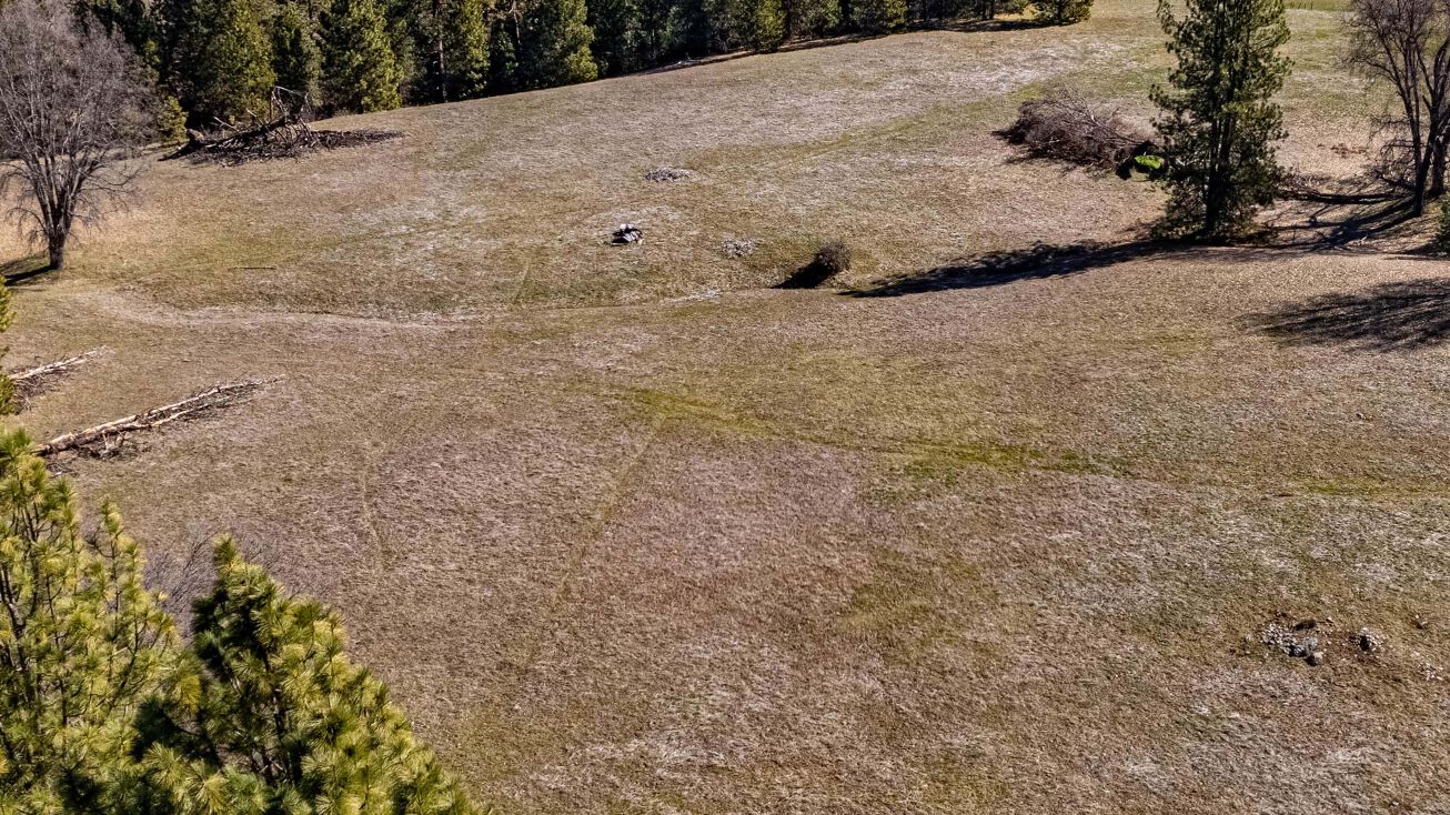 10279 Greeley Ln, Coulterville, CA 95311