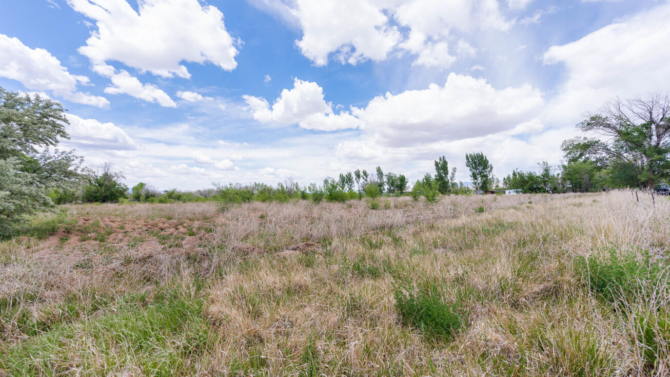 317 32 1/2 Rd, Palisade, CO 81526