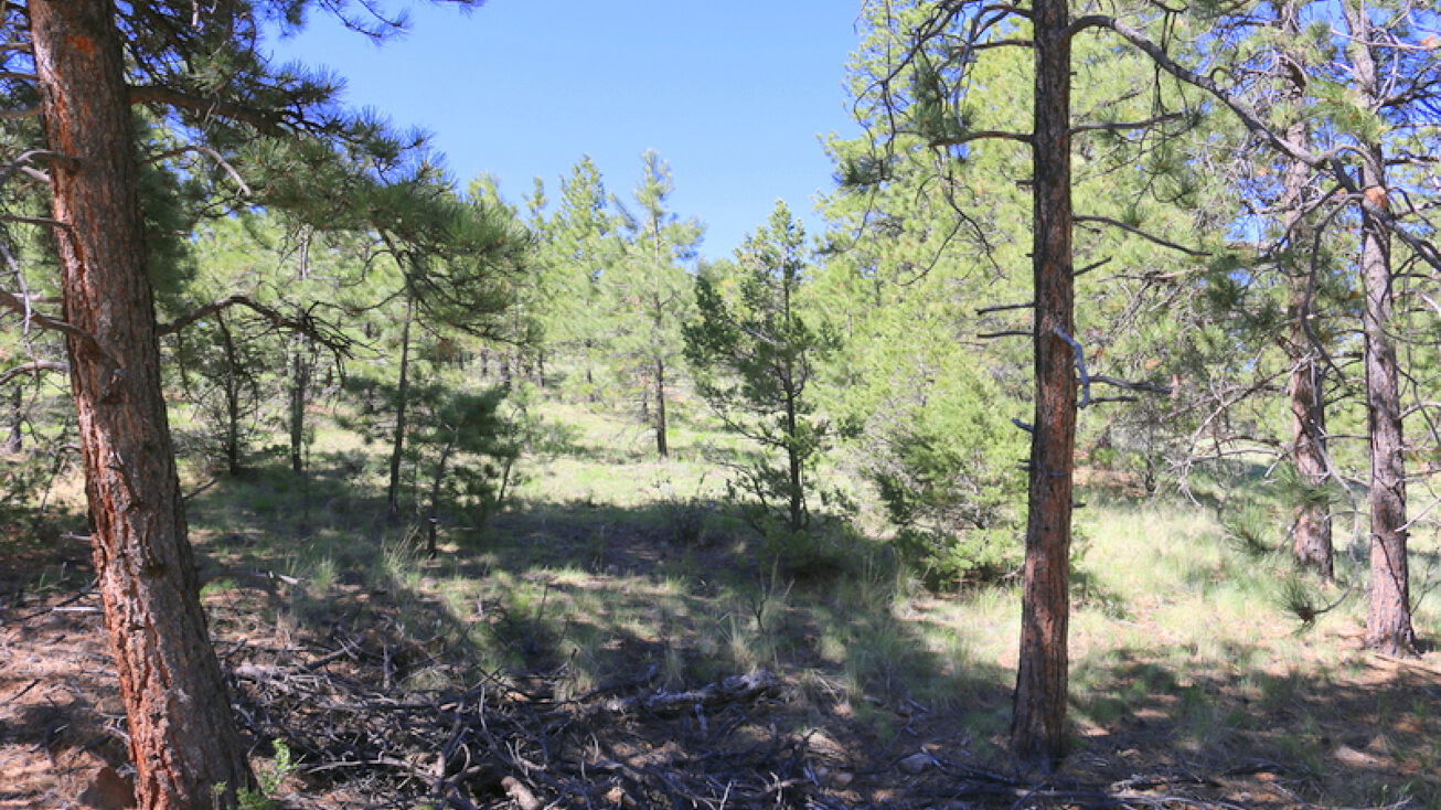 511 Crystal Falls Dr, Westcliffe, CO 81252 Land for Sale Crystal Views